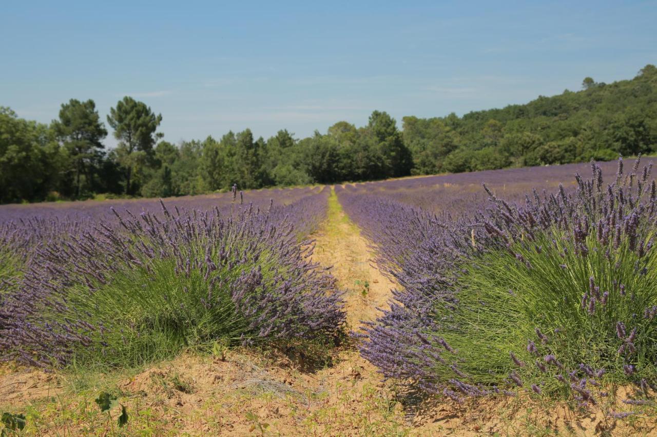 Les Yourtes De Provence Saint-Paulet-de-Caisson Exterior foto